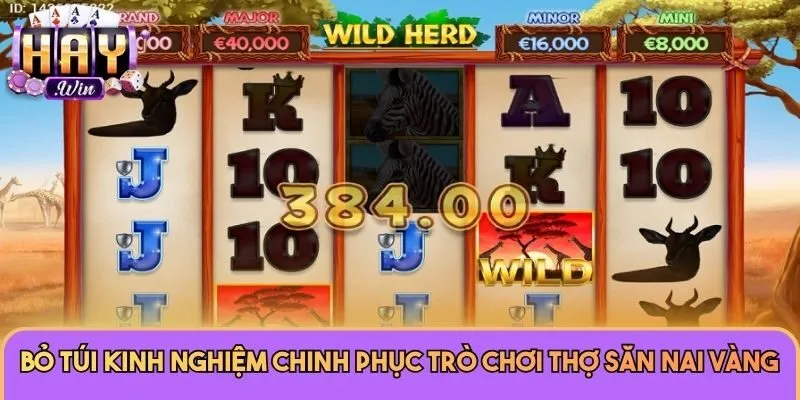 Bỏ túi kinh nghiệm chinh phục trò chơi Thợ Săn Nai Vàng