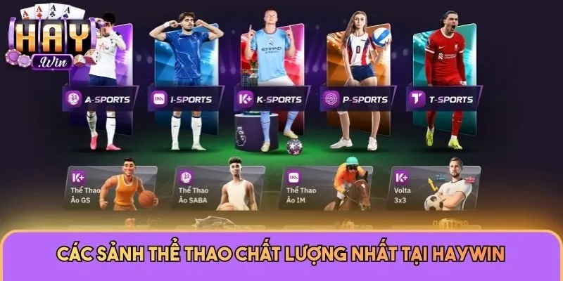 Các sảnh thể thao chất lượng nhất tại Haywin