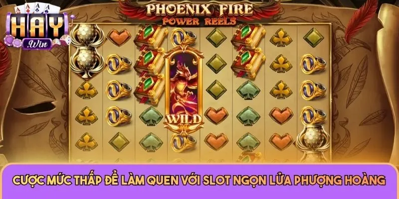 Cược mức thấp để làm quen với slot Ngọn Lửa Phượng Hoàng