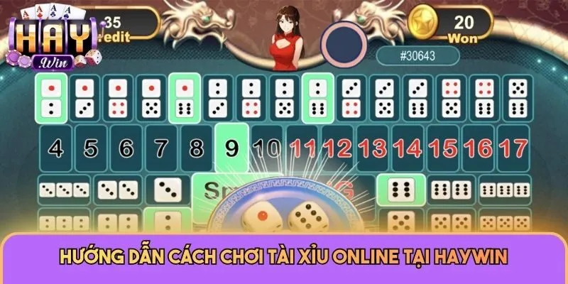 Hướng dẫn cách chơi Tài Xỉu online tại Haywin