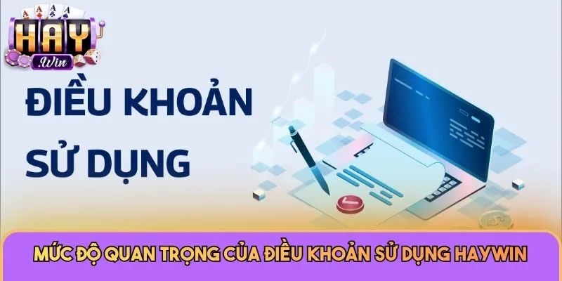 Mức độ quan trọng của điều khoản sử dụng Haywin