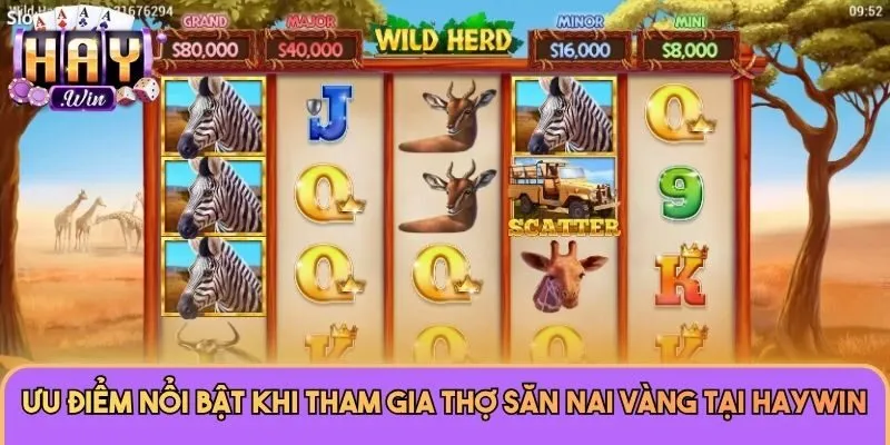 Ưu điểm nổi bật khi tham gia Thợ Săn Nai Vàng tại Haywin